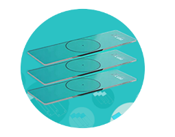 ̫���ɼ���61999����