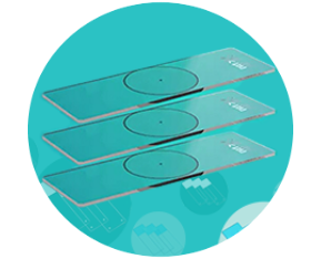 ̫���ɼ���61999����