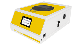 ̫���ɼ���61999����